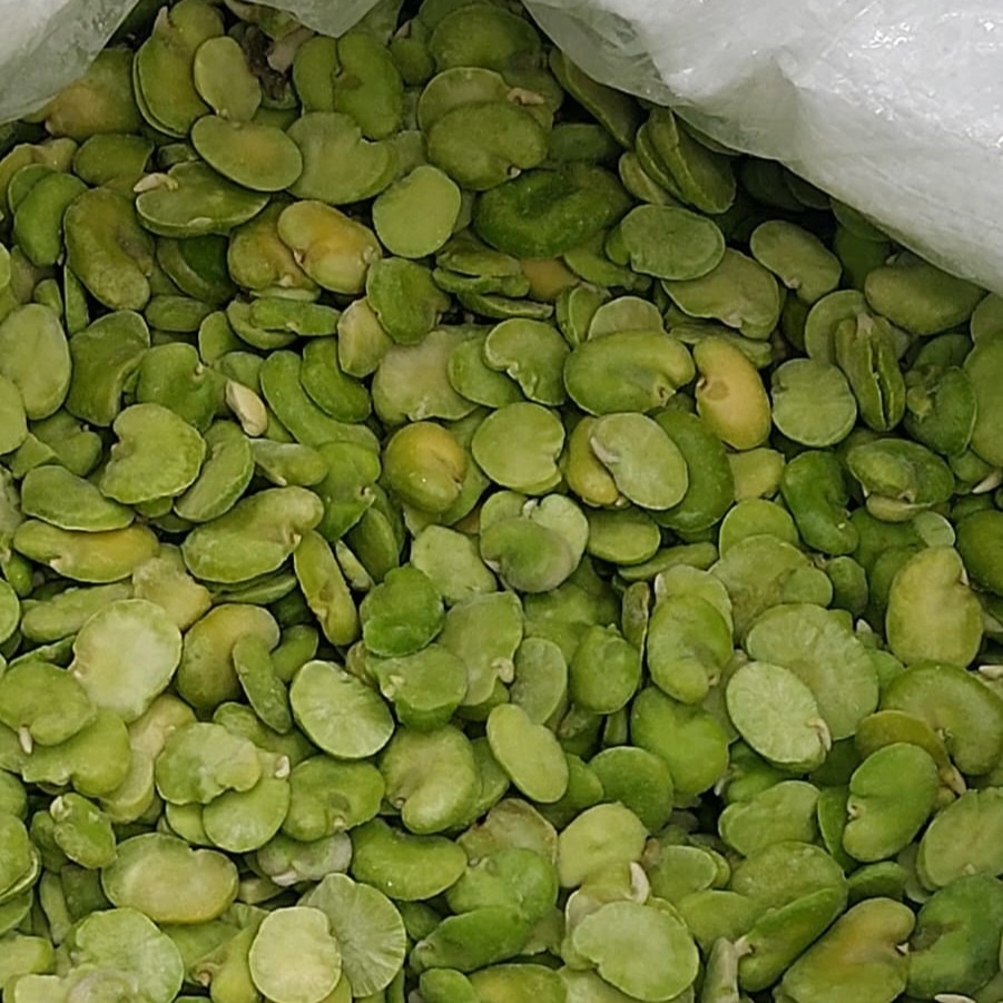 TMN Export – Trade Market Network For Export | Egyptian Fresh & Frozen Produce Supplier