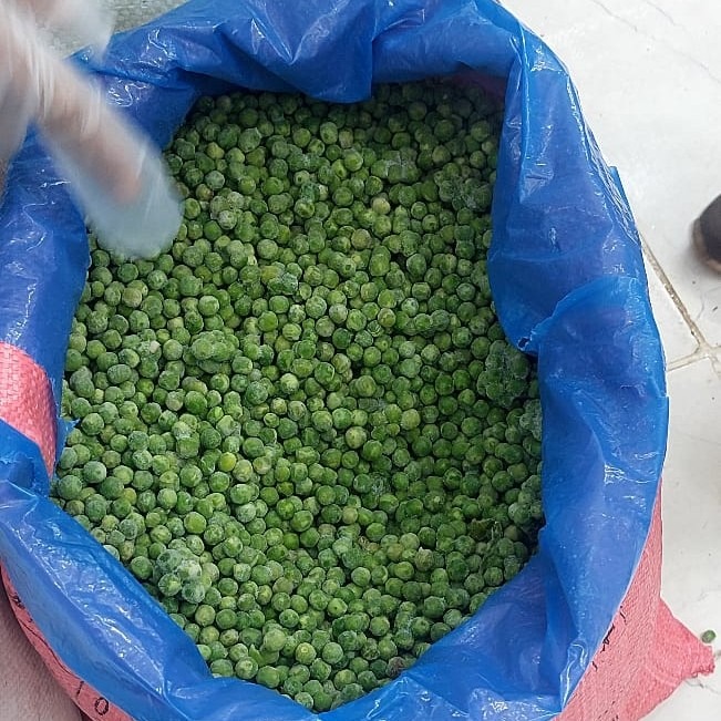 TMN Export – Trade Market Network For Export | Egyptian Fresh & Frozen Produce Supplier