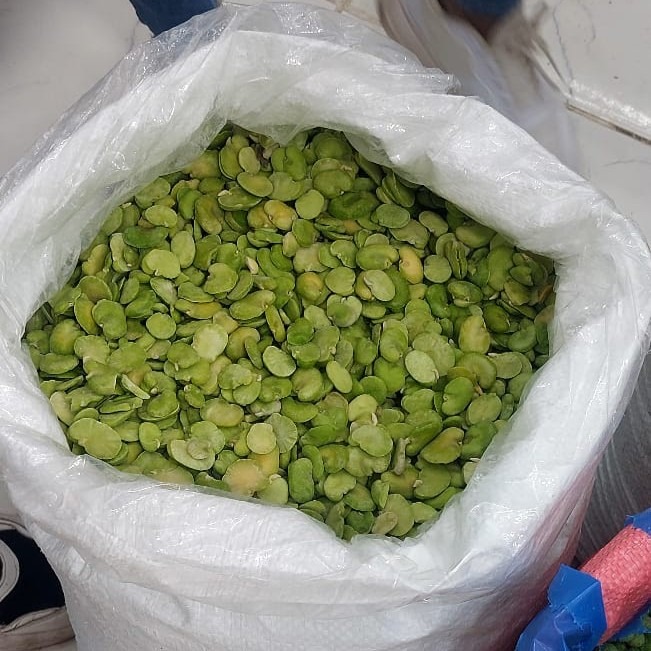 TMN Export – Trade Market Network For Export | Egyptian Fresh & Frozen Produce Supplier