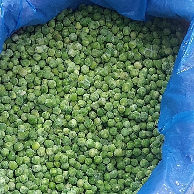 TMN Export – Trade Market Network For Export | Egyptian Fresh & Frozen Produce Supplier